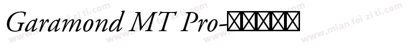 Garamond MT Pro字体转换